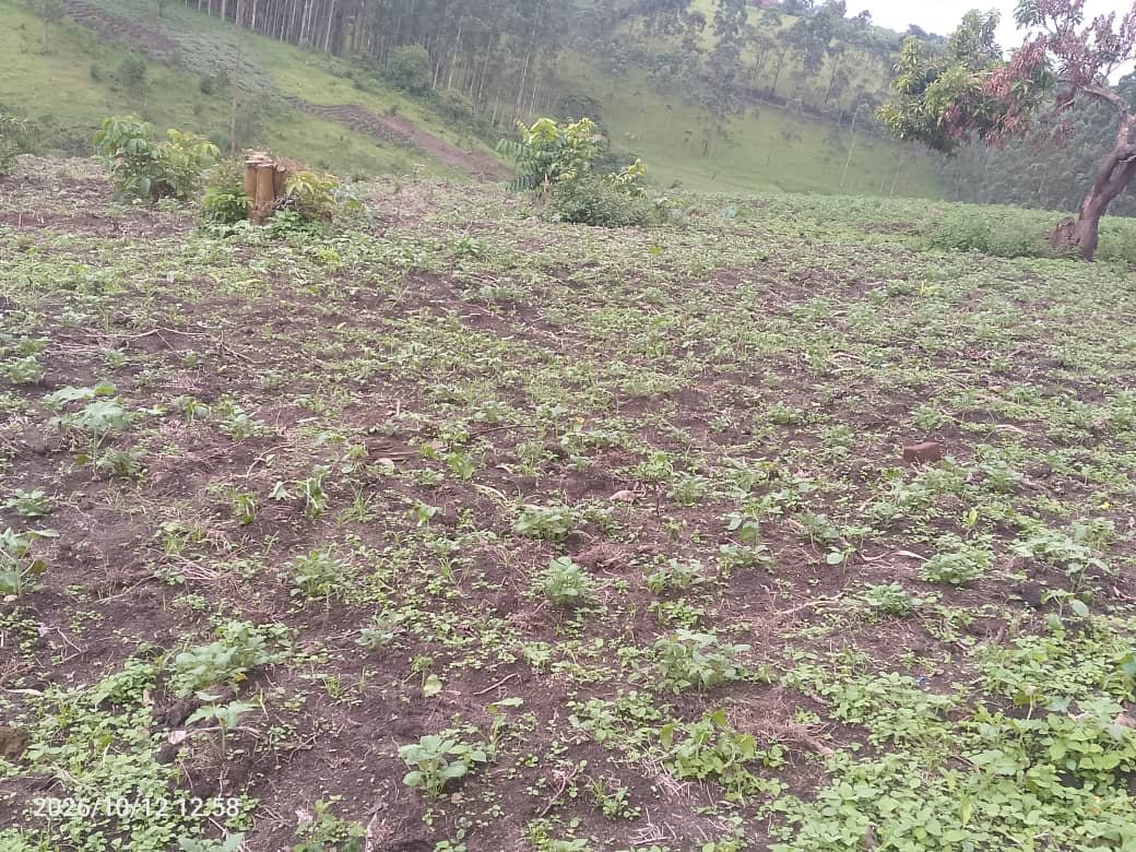 Selling land call on 
+256777543983