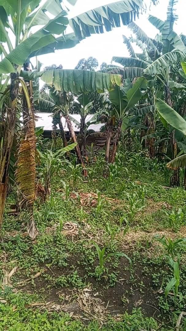 Selling land call on 
+256777543983