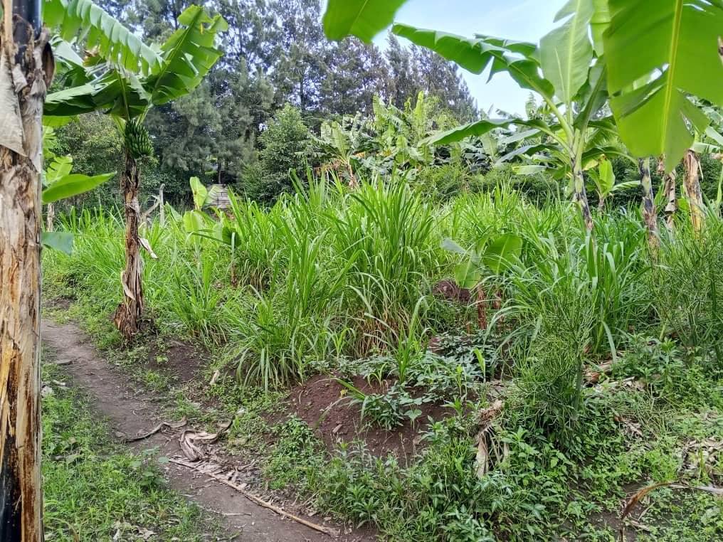 Selling land call on 
+256777543983