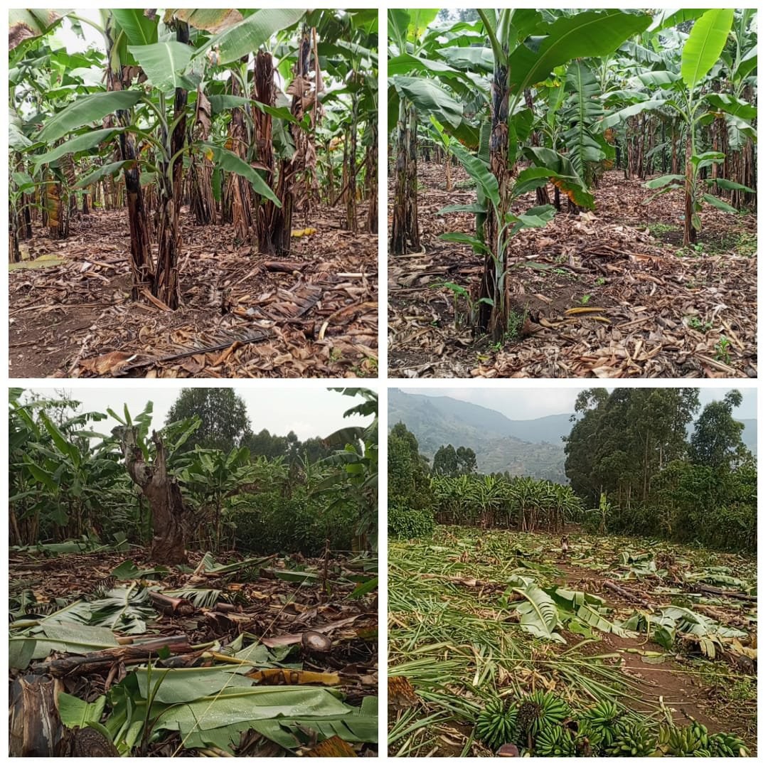 Selling land call on 
+256777543983