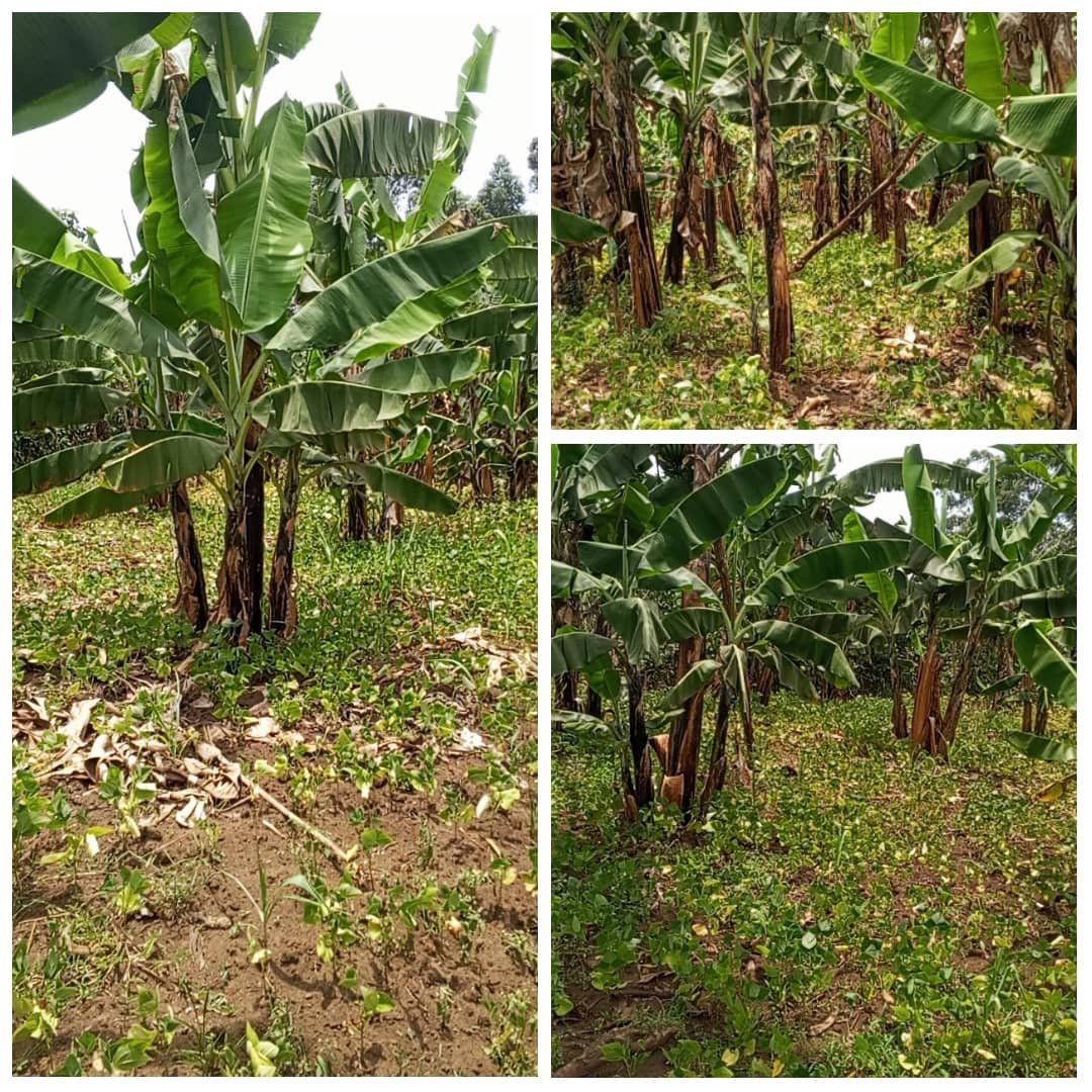 Selling land
