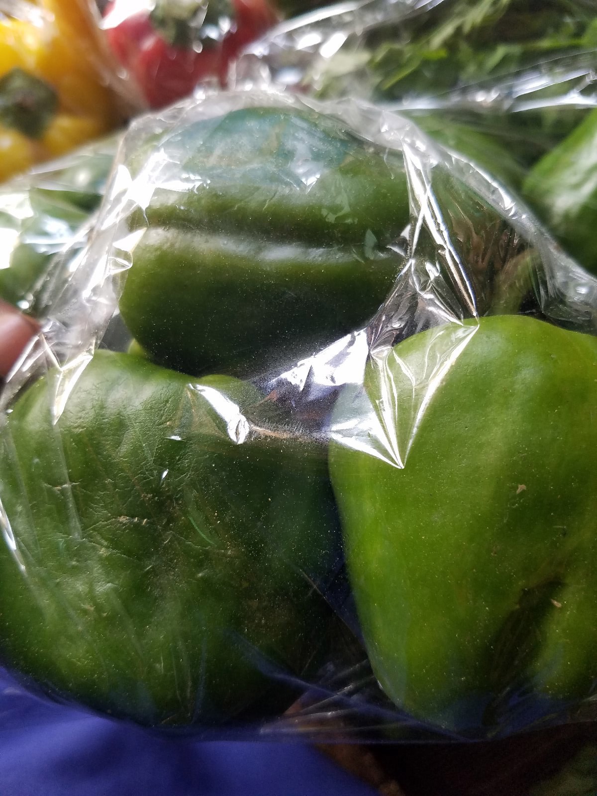 Sweet pepper