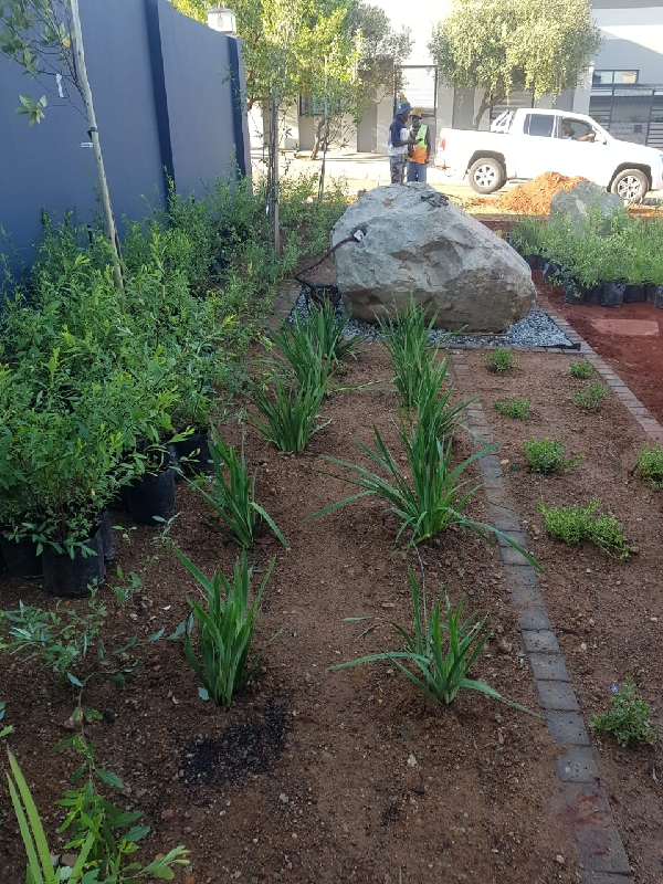 Landscape installation..