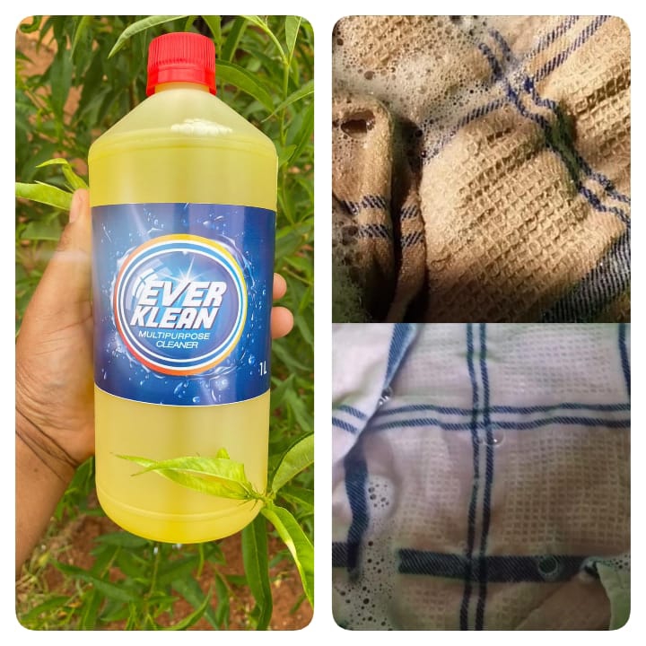 Ever klean multipurpose