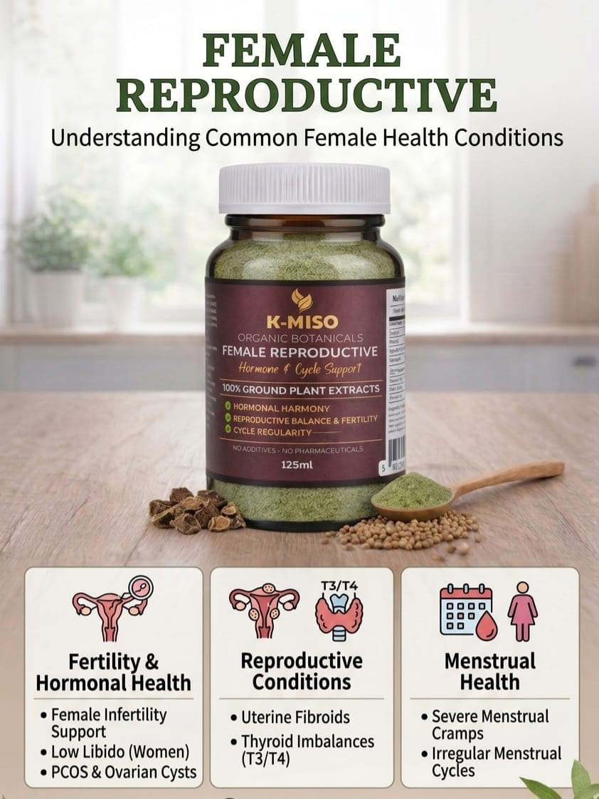 K-miso wellness products