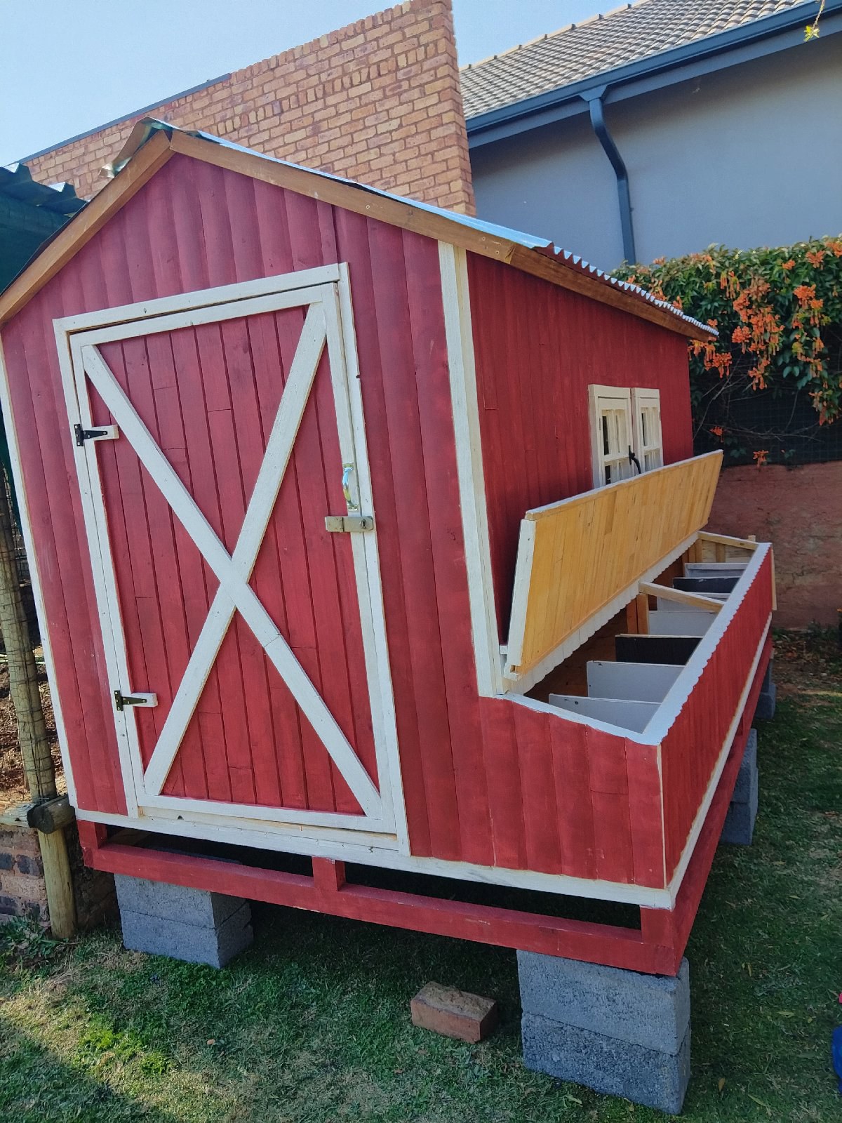 Backyard Chicken coop