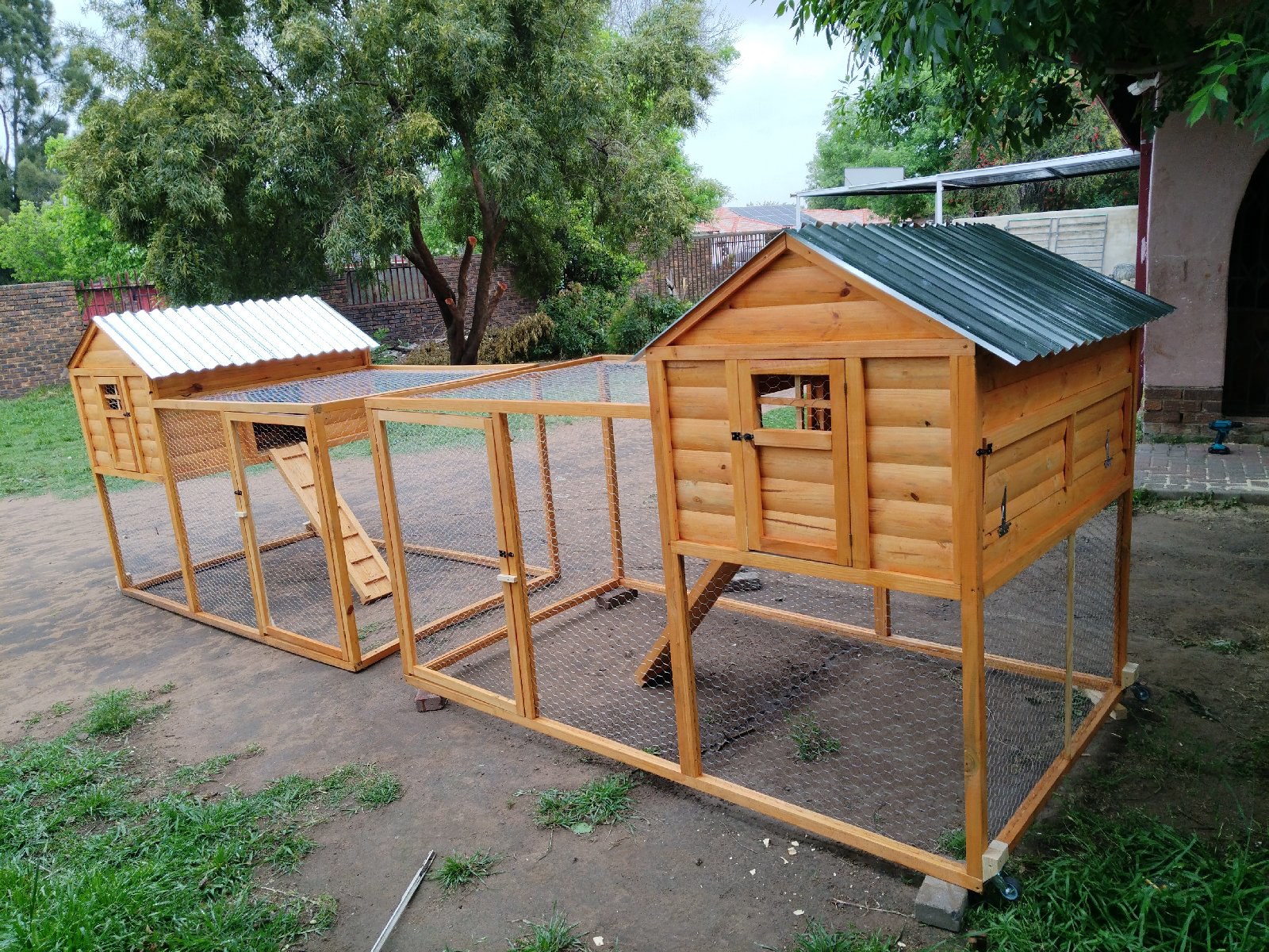 Chickens Coop