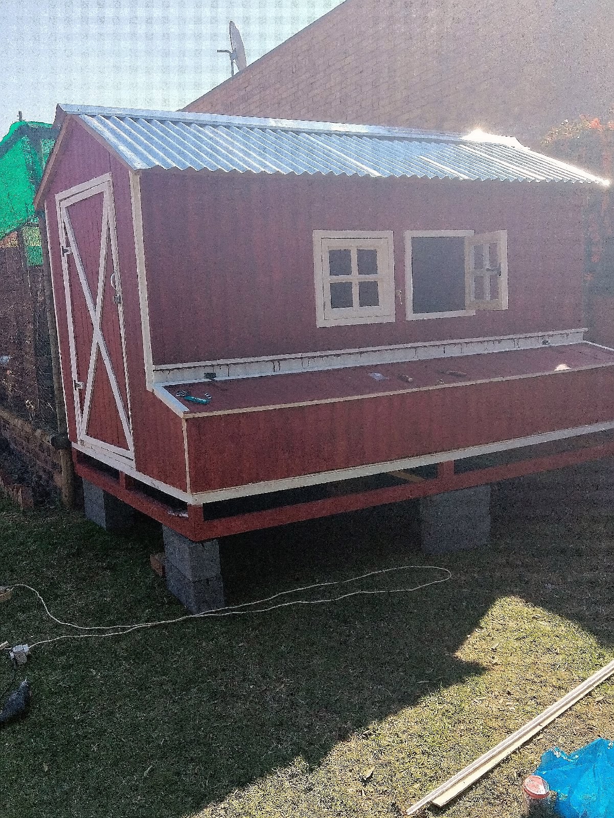 Backyard Chicken coop