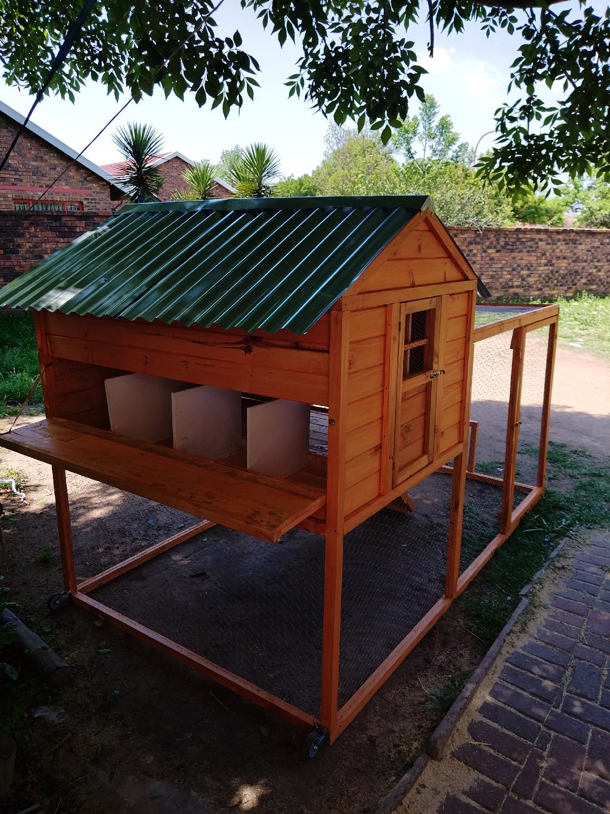 Chickens Coop