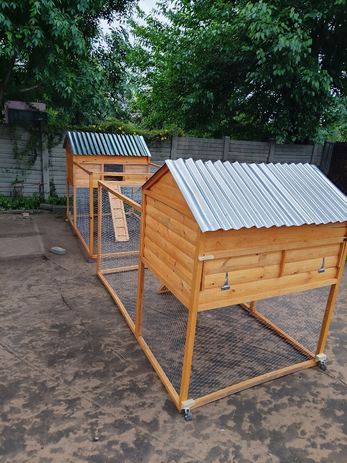 Chickens Coop