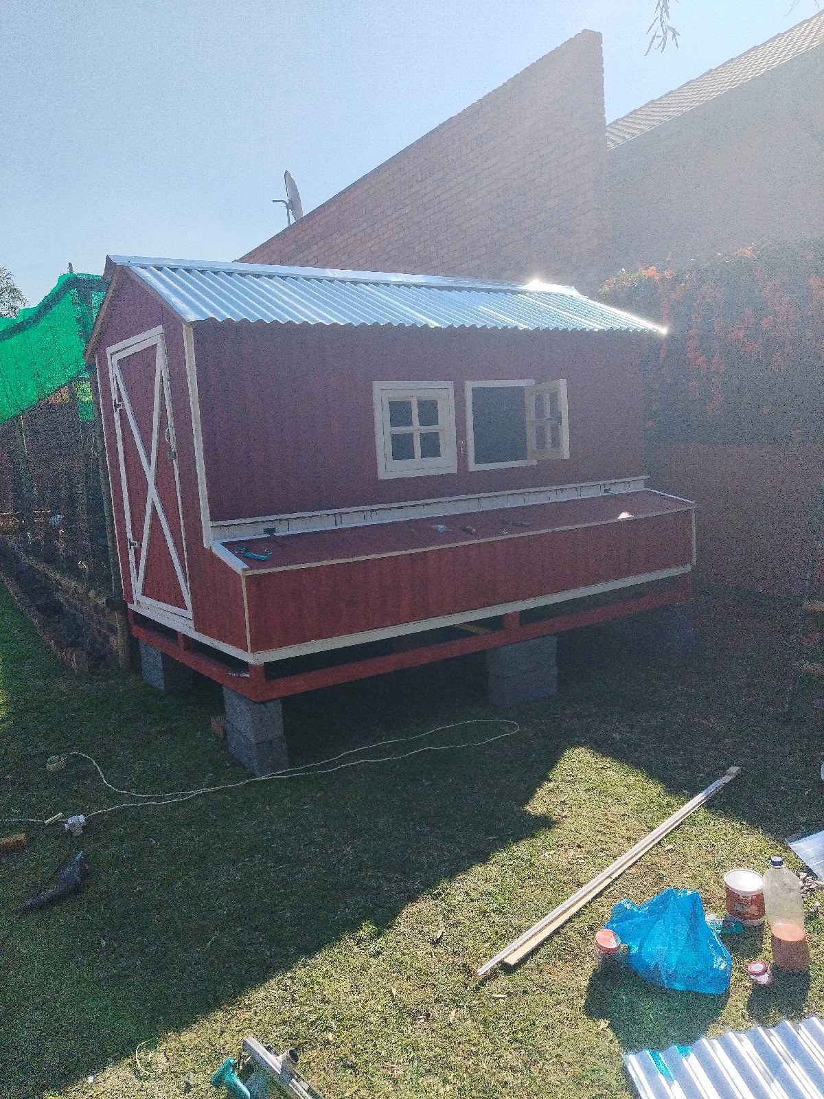 Backyard Chicken coop